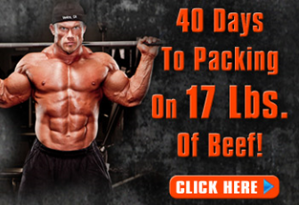 Cell Expansion Protocol Program