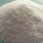 Creatine Research Update