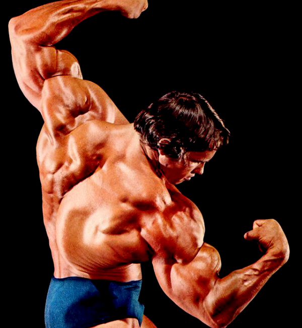 Arnold Schwarzenegger