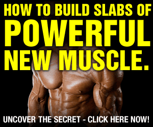 Primal Muscle, Fitness Goal: Massive Muscular Gains