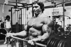 Bodybuilding Training