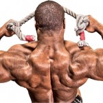 Blast Your Rear Delts