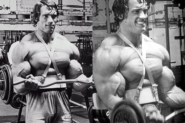 Arnold Schwarzenegger